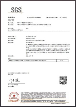 华博REACA中文报告